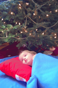 lucy-tree lucy-tree