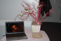 Video and Guest Tree